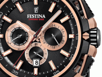 Festina